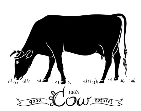 Cow isolated. Black and white silhouettes of a cowのイラスト素材