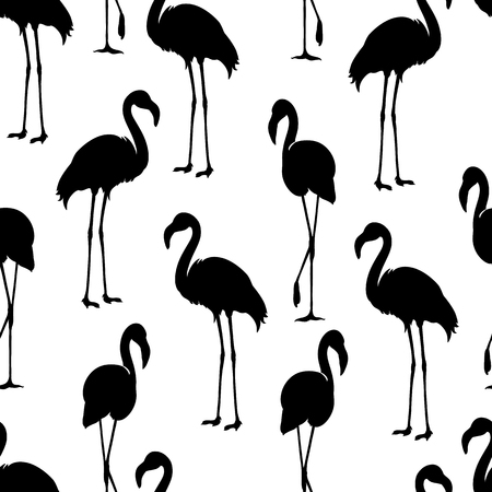 Flamingo isolated. Exotic bird. Flamingo silhouette, illustrations. Flamingo seamless patternのイラスト素材