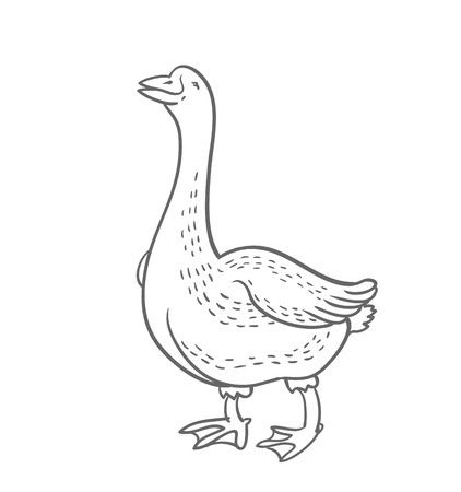 White Goose isolated on white background, goose hand drawn, vector illustration sketch, poultry, cartoon funny gooseのイラスト素材