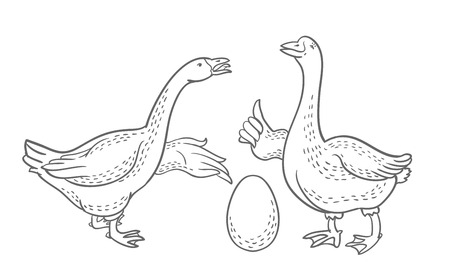Two geese, goose egg outline drawing, cartoon funny goose isolated on white background, goose domestic nature character, poultryのイラスト素材