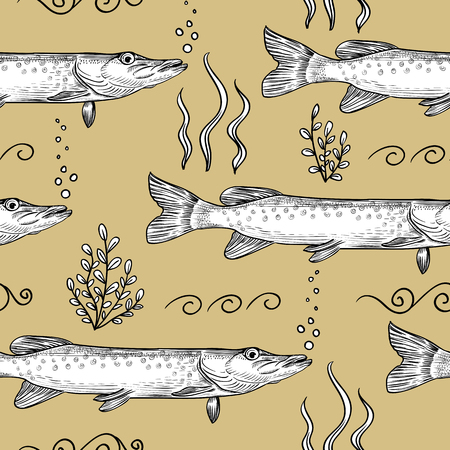 Pike. Seamless pattern of pike. Hand drawn sketch illustrationのイラスト素材