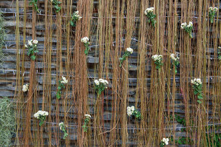 Flower and creeping plant backdrop for weddingの写真素材