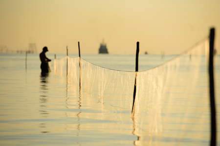 The fisherman take the fish from net in the sea