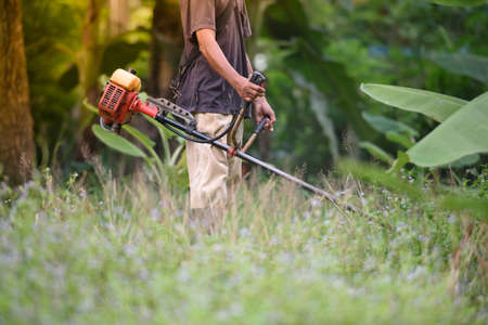 You mow the lawn in the garden.の写真素材