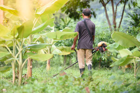 You mow the lawn in the garden.の写真素材