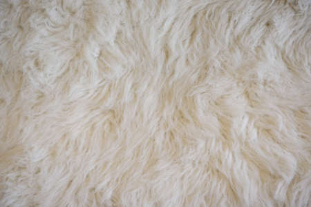 The softly wool white carpet for background.