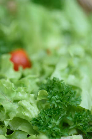 Organic Fruit Salad Ready to Eatの写真素材