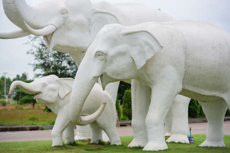 White elephant statue in the gardenの写真素材