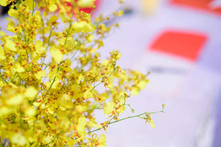 Flower yellow bouquet decorated in a beautiful party.の写真素材
