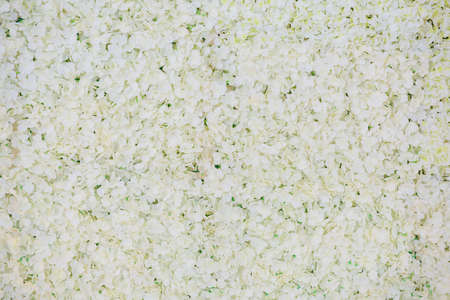 Flower bouquet White is stacked together as a large backdrop