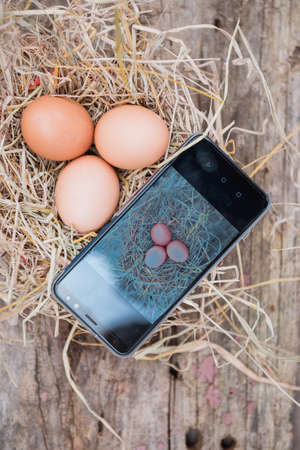 Theâ€‹ smart farmer use smartâ€‹ phone technologyâ€‹ forâ€‹ marketting â€‹...