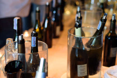Many wine bottles are immersed in an ice bucket. Ready for the celebration for this dinner.