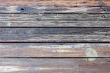 The old wooden stakes are lined up as a back drop.