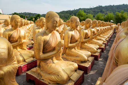 Many golden Buddha Sitting in the temple The backdrop is a green forest in Nakornnayok city,...
