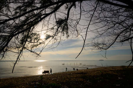 The way of life in the morning Beautiful beach area Of Songkhla Which is in the southern region of...