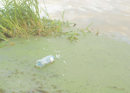 A plastic bottle floats in the mud near the shore .Plastic pollution of the environment.の写真素材