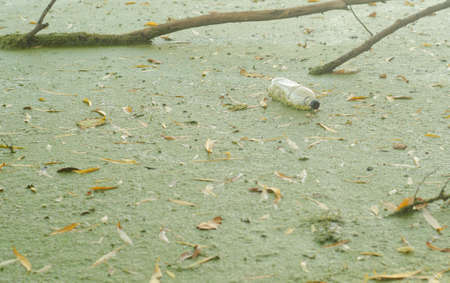 A plastic bottle floats in the mud near the shore .Plastic pollution of the environment.の写真素材