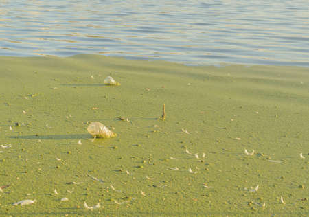 Two plastic bottles are submerged in the mud near the shore .Plastic pollution of the environment.の写真素材