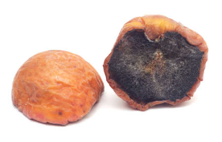 one large rotten blackened half of an apple and one rotten inverted half of an apple isolated on white background, close-up.の写真素材