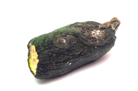 the half of moldy zucchini isolated on white background.の写真素材