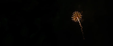 one small fireworks in the night sky.