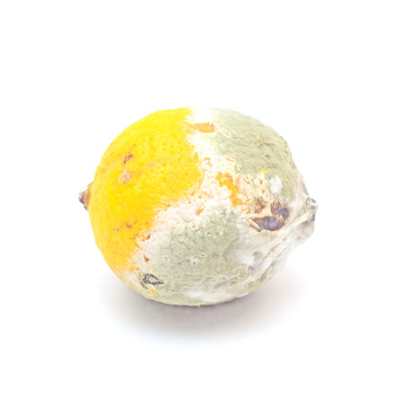 Ugly food.Moldy lemon isolated on white background.の写真素材