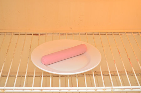 Food crisis.One sausage on plate in old refrigerator.の写真素材