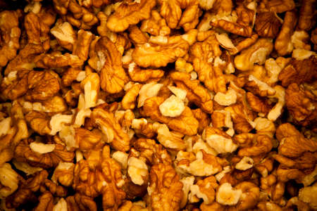 walnut seeds backgroundの写真素材