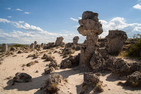Stone Forest near Varna, Bulgaria, Pobiti kamani, rock phenomenonの写真素材