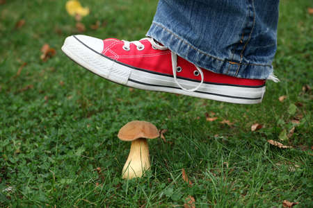 Male foot ready to step on a mushroomの写真素材