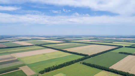 Aerial view of fields with various types of agriculture, against cloudy sky