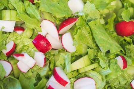 Fresh green salad with cucumbers and radishes. の写真素材