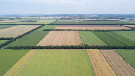 Aerial view of fields with various types of agriculture.の写真素材