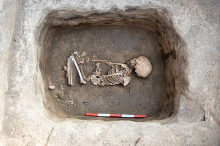 Archaeological excavations. Human remains, bones of skeleton and skulls of 6 year old child in the ground tomb.の写真素材