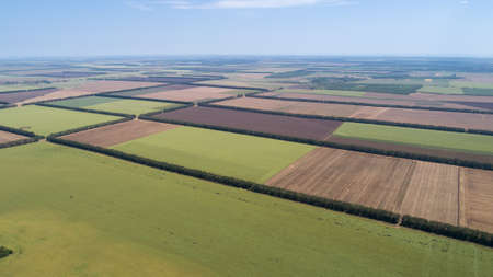 Aerial view of fields with various types of agriculture.