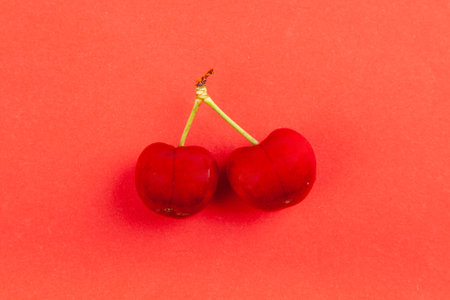 Double sweet cherries on red background. Summer food concept.の写真素材