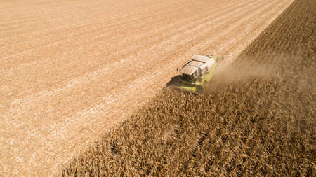 Aerial view combine (harvester) harvesting on corn field. Mechanized harvesting corn.