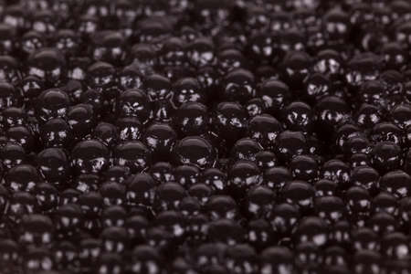 Close up of black caviar, backgroundの写真素材
