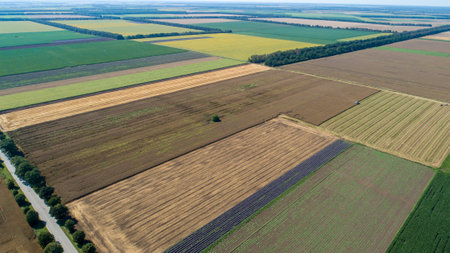 Aerial view of fields with various types of agriculture.