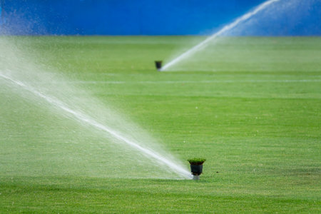 Sprinkler system working on fresh green grass on football (soccer) stadiumの写真素材