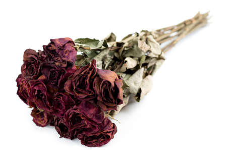 Faded dead rose bouquet isolated against a white backgroundの写真素材