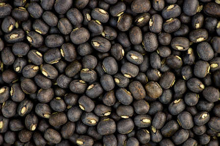 Black urad dal bean lentilsの写真素材
