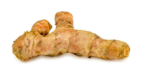 Macro closeup of fresh turmeric root plantの写真素材