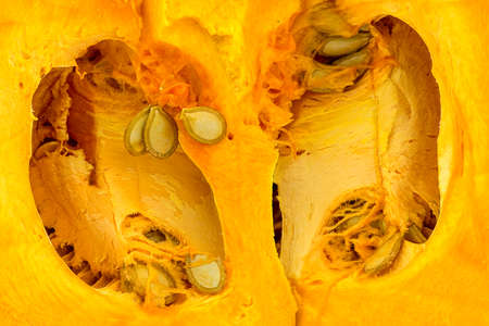 Background texture of inside of orange seeded pumpkinの写真素材