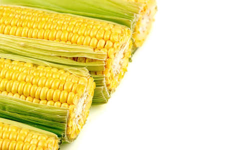 Macro background texture of tasty, juicy cornの写真素材