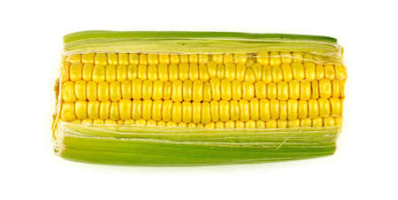 Single corn cob isolated on white backgroundの写真素材