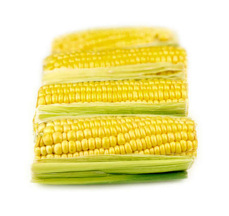 Fresh corn isolated on whiteの写真素材