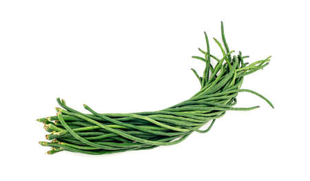 Bunch of long snake beans isolated on white backgroundの写真素材