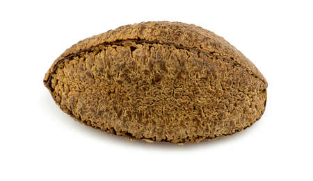 Brazil nutの写真素材