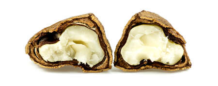 Brazil nut cracked open showing inside meatの写真素材